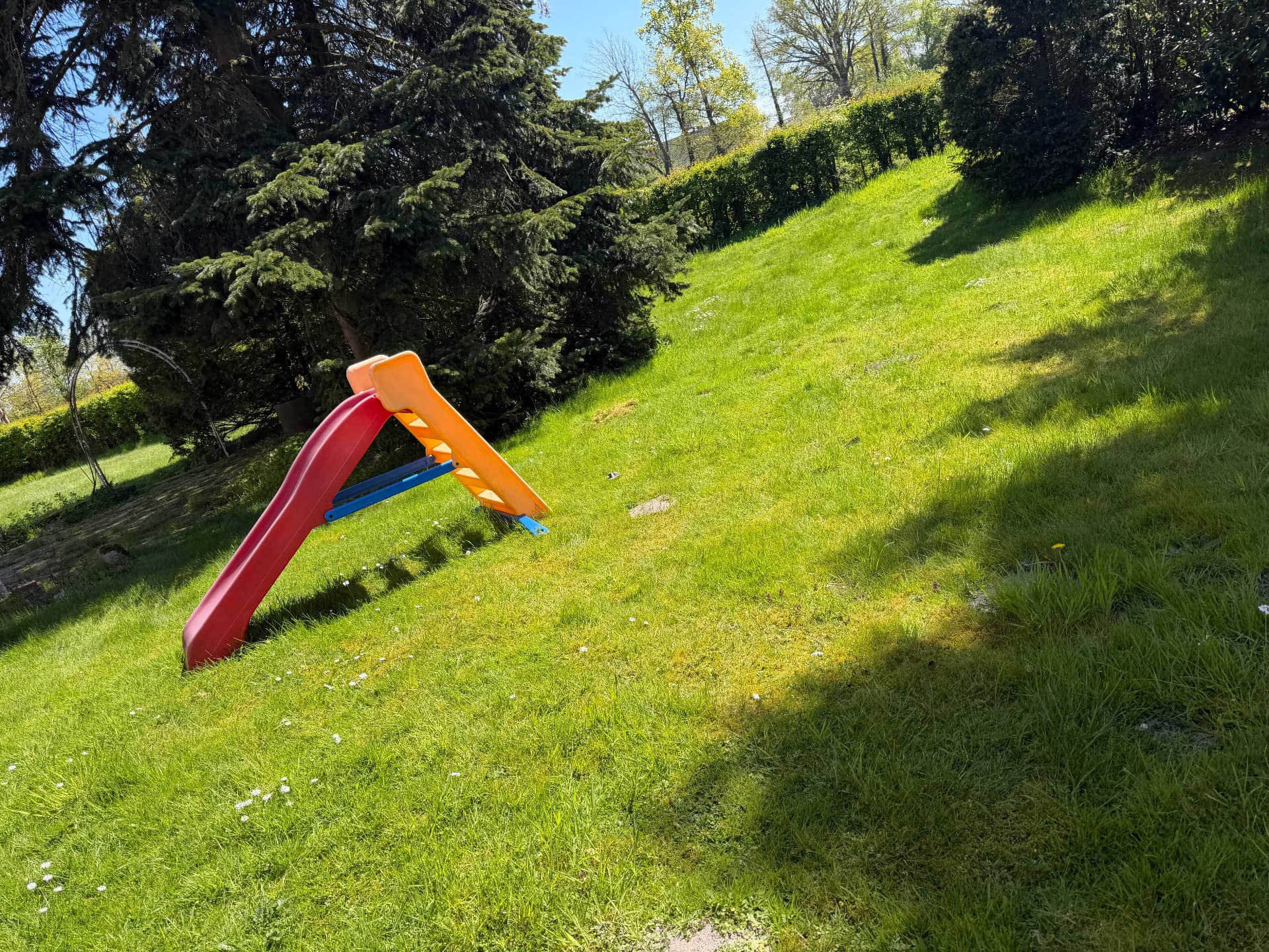 Gepflegter Garten mit Rasen und Hecke