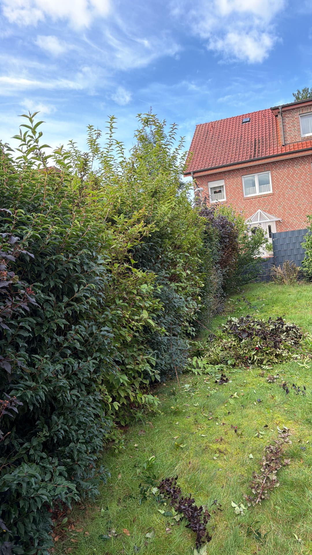 Gartenpflege