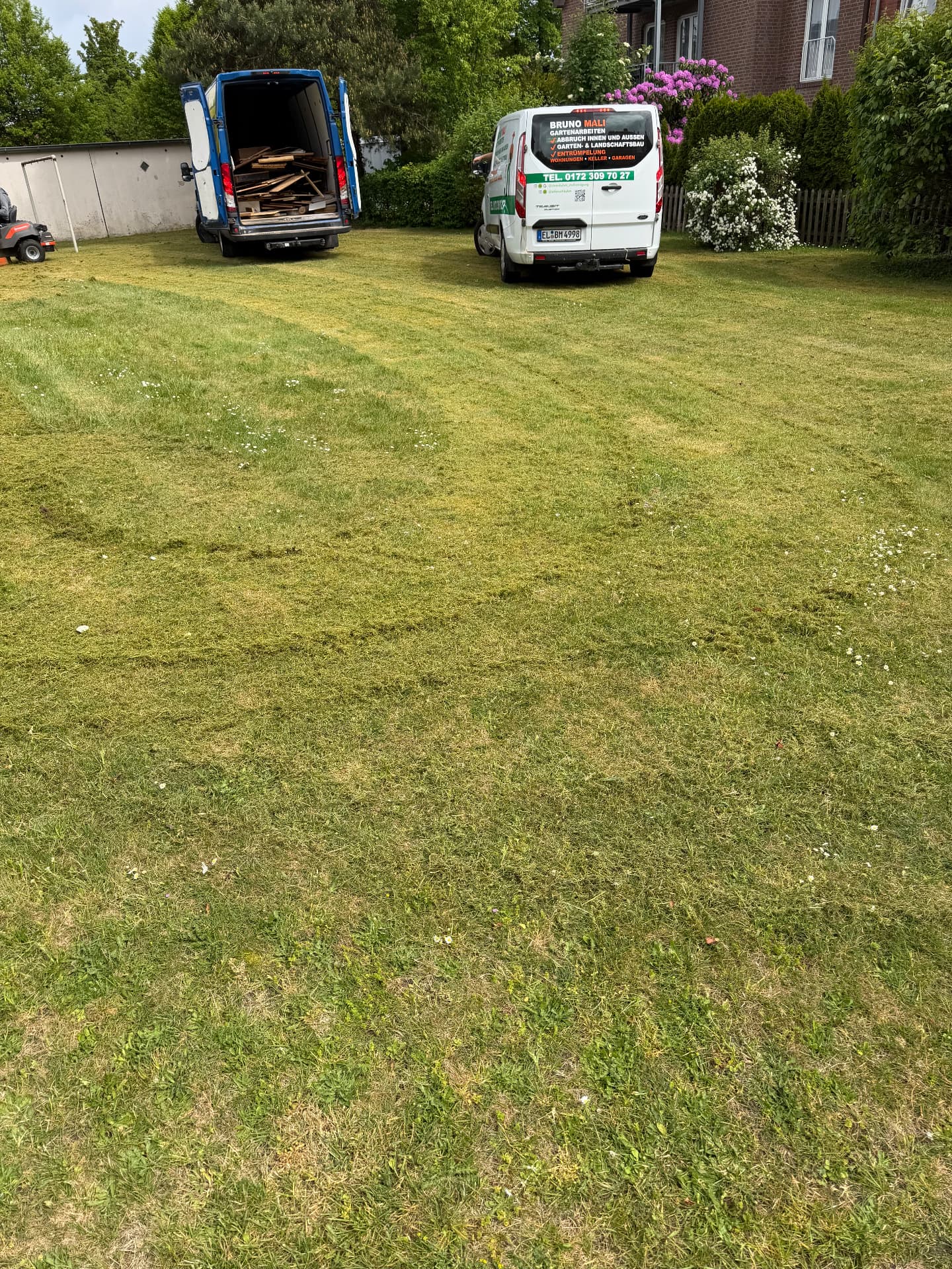 Rasen frisch gemäht – Gartenpflege