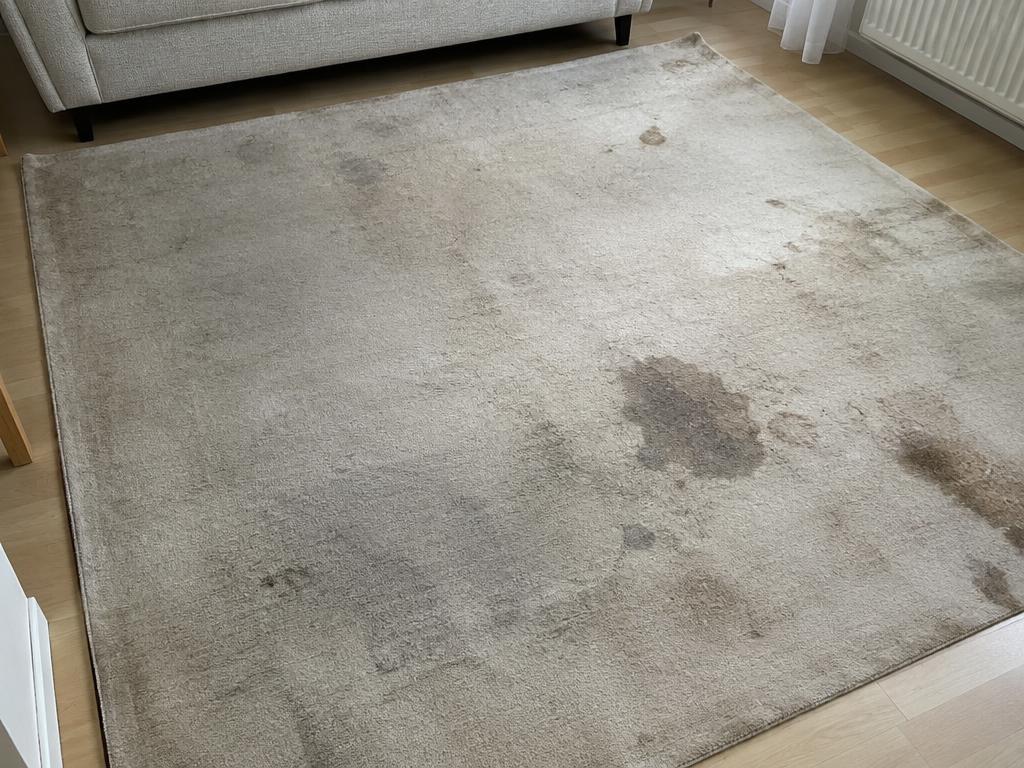 Beige-Teppich vor der Reinigung